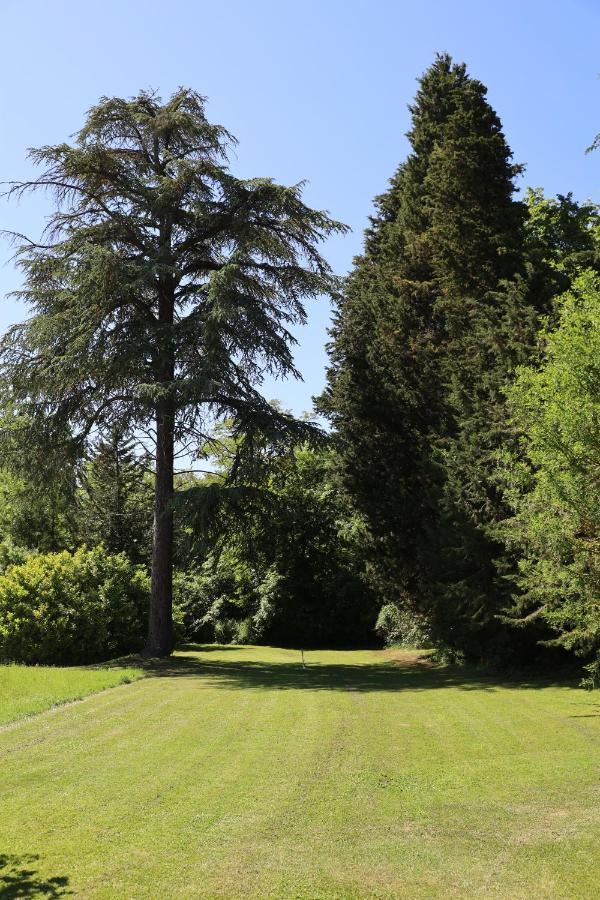 Domaine De Pouroutounat Mirepoix  Bagian luar foto